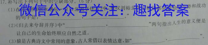 河北省廊坊市第十六中学2023年九年级暑假作业检测语文