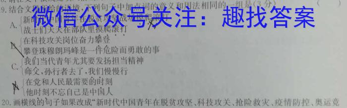 河南省2024届新高考8月起点摸底大联考语文