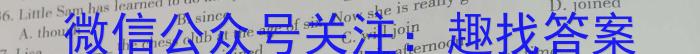 黑龙江省哈尔滨市第三中学校2023-2024学年高三上学期第一次验收（开学测试）英语试题