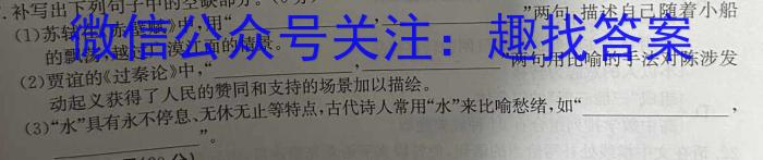 2024浙江A9协作体高三联考语文