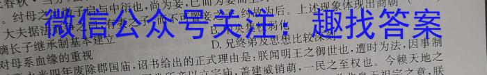 河南省教育研究院2024届新高三8月起点摸底联考政治试卷及参考答案历史