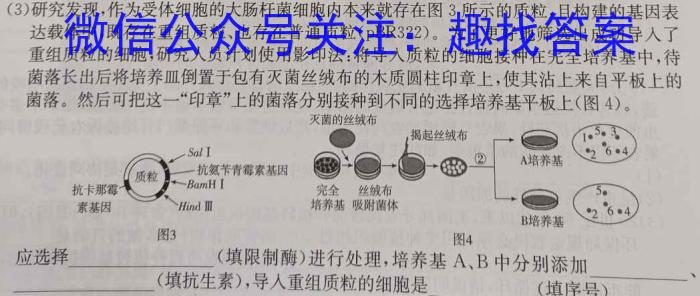 山东省日照市2021级高三上学期校际联合联合考试（8月）生物试卷答案