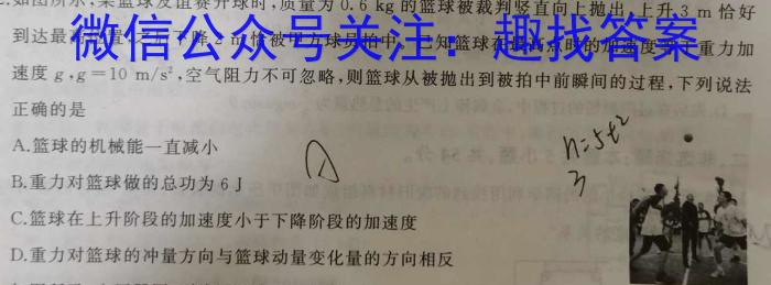 2023-2024年山东省青岛市九年级月考质检q物理