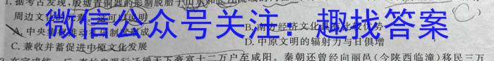 2024届安徽省高三摸底大联考历史