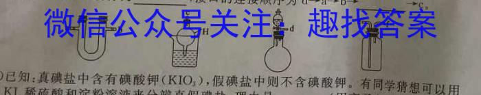 1［皖南八校］安徽省2024届高三摸底联考（8月）化学