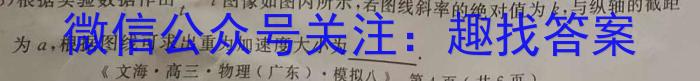 河南省南阳市镇平县2024届九年级秋期学情研判练习题q物理