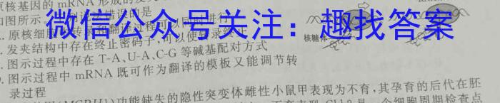 衡水金卷先享题2023-2024高三一轮复习40分钟单元检测卷(广西专版)(2)生物试卷答案