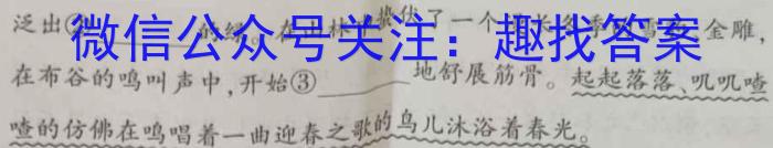 河南省2023-2024学年度八年级大联考阶段评估卷（一）/语文