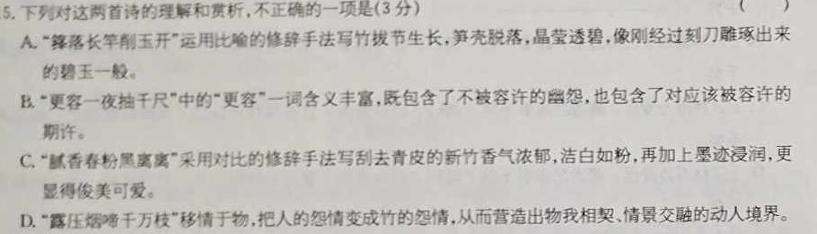 云南省2023-2024学年秋季学期九年级基础巩固卷(一)1语文