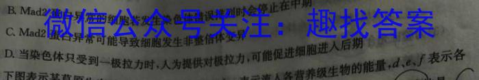 2024届全国高考分科模拟检测示范卷XGK✰(一)生物试卷答案