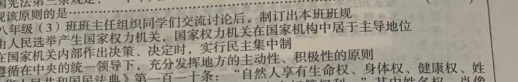 2024届名师原创分科模拟 新S4(二).地理