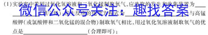 河南省2022-2023学年高一年级下学期学业质量监测(2023.07)化学