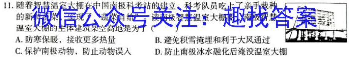 安徽省 十校联考 2024-2023学年(下)八年级期末检测q地理