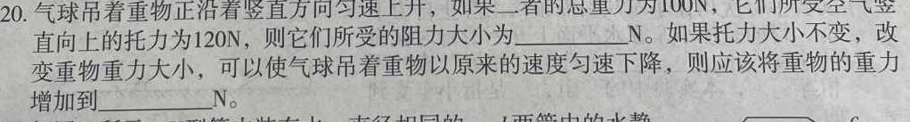 河南省洛阳创新发展联盟2024届高三阶段性检测(23-583C)-物理