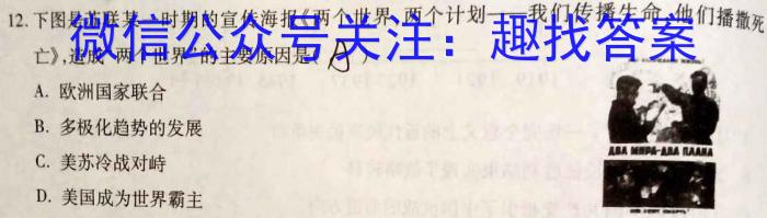 河南省洛阳创新发展联盟2024届高三阶段性检测(23-583C)历史