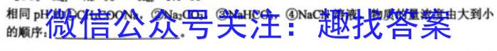 陕西省2022~2023学年度七年级下学期期末综合评估 8L R-SX化学