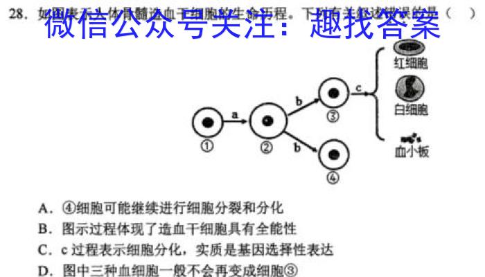 湖南省2023年邵阳市7月高二联考生物