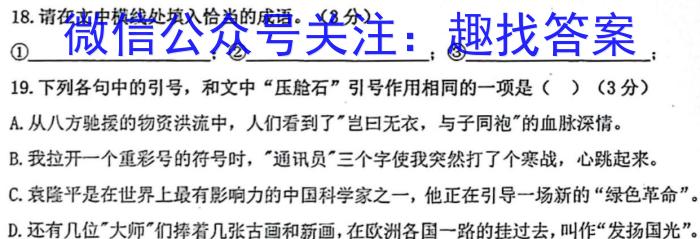 湖北省2022-2023学年度高一年级第二学期联合体期末联考语文