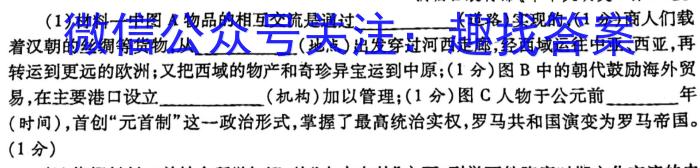 陕西省2022~2023学年度七年级下学期期末综合评估 8L R-SX历史试卷