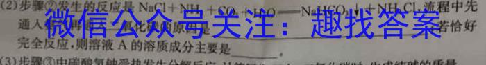 安徽省芜湖市弋江区2022-2023学年度八年级第二学期期末评价化学