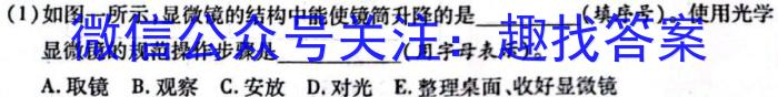 安徽省十联考 合肥一中2024-2023学年高二年级下学期期末联考生物