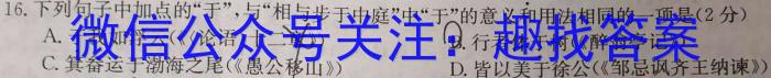 2024届分科综合检测卷(二)语文