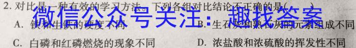 陕西省2022~2023学年度八年级期末学科素养监测(23-CZ225b)化学