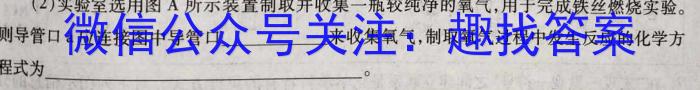 河南省2023年春期高中二年级期终质量评估化学