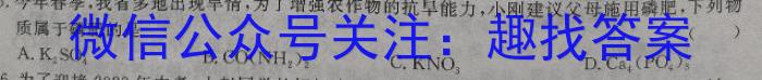 安徽省十联考 合肥一中2022-2023学年高二年级下学期期末联考化学