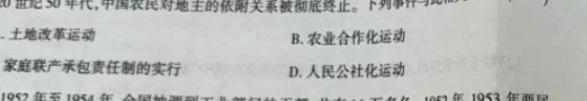 2024届高考滚动检测卷 新教材(四)历史