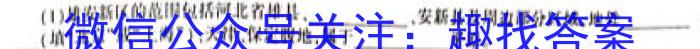 陕西省2024届九年级教学质量检测A政治1