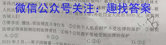 安徽省 十校联考 2024-2023学年(下)八年级期末检测历史
