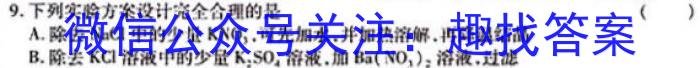 河南省洛阳创新发展联盟2024届高三阶段性检测(23-583C)化学