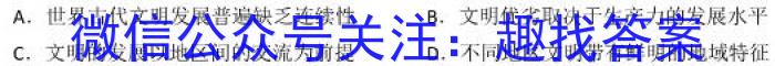 山西省2022~2023学年高二下学期期未质量检测(232832D)历史