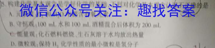 安徽省十联考 合肥一中2024-2023学年高二年级下学期期末联考化学