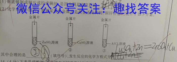 河南省驻马店市2022~2023学年度高一第二学期期终考试化学