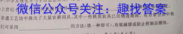 安徽省毫州市2024-2023学年七年级第二学期期末学科素养监测化学