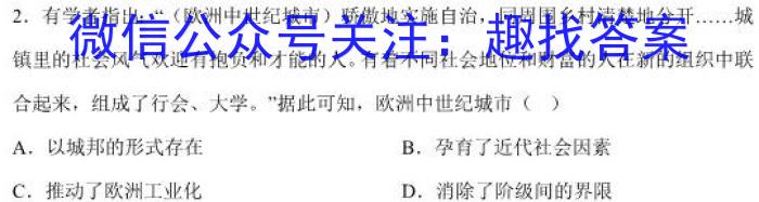 安徽省毫州市涡阳县2022-2023学年度八年级第二学期期末质量检测历史