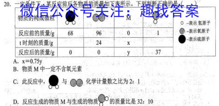 河南省濮阳市2024-2023学年八年级第二学期期末考试试卷化学