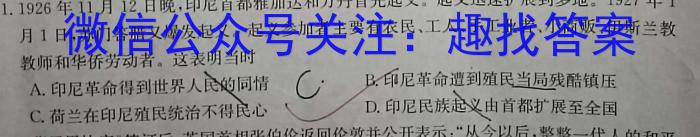 炎德英才 名校联考联合体2023年春季高二期末联考暨新高三适应性联合考试(6月)历史