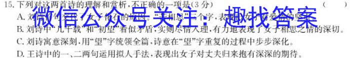 河南省2023年春期高中一年级期终质量评估语文