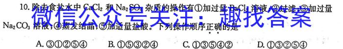 湖南省2023年上学期高二期末化学