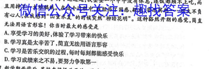 天一大联考·皖豫名校联盟2024-2023学年(下)高二年级阶段性测试(期末)q地理