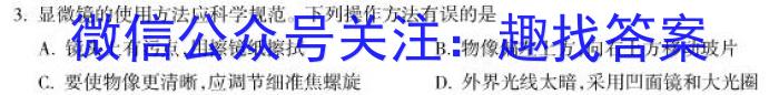 2024届高三年级8月名校联合考试q地理