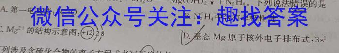 天一大联考·皖豫名校联盟2024-2023学年(下)高一年级阶段性测试(期末)化学