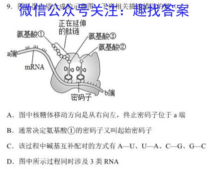 2024届分科综合检测卷(三)生物