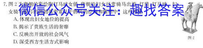 2022-2023学年高一年级下学期大理州普通高中质量监测历史
