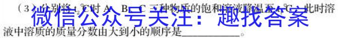 安徽省合肥市长丰县2023年春学期八年级期末抽测试卷化学