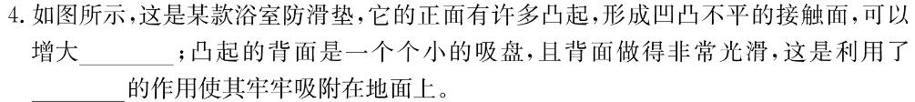 湖北省恩施州高中教育联盟2023年春季学期高一年级期末考试(23-574A)-物理