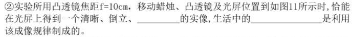 2024届分科综合检测卷(四)-物理